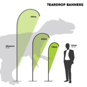 Teardrop Banner - Size Chart