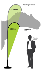 Teardrop Banner - Size Chart