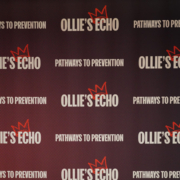 Ollie's Echo Ollie's Echo