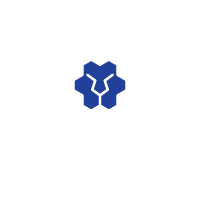 Lions FC Logo